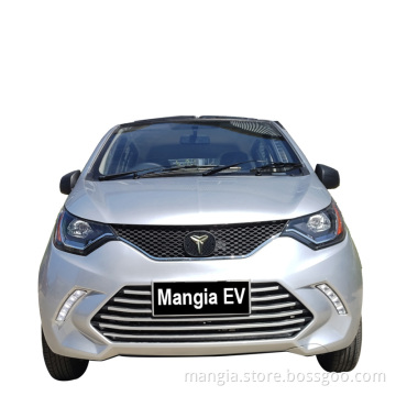 Affordabile guida per adulti Blaval Solar Electric S6 Made in Cina 2023 Mini Auto elettrica a 4 ruote